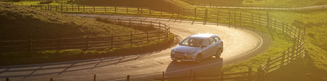 car driving in green field