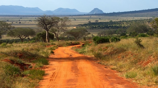 Narrow village road in landscape