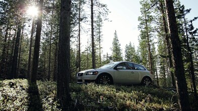 Car on the forest road
