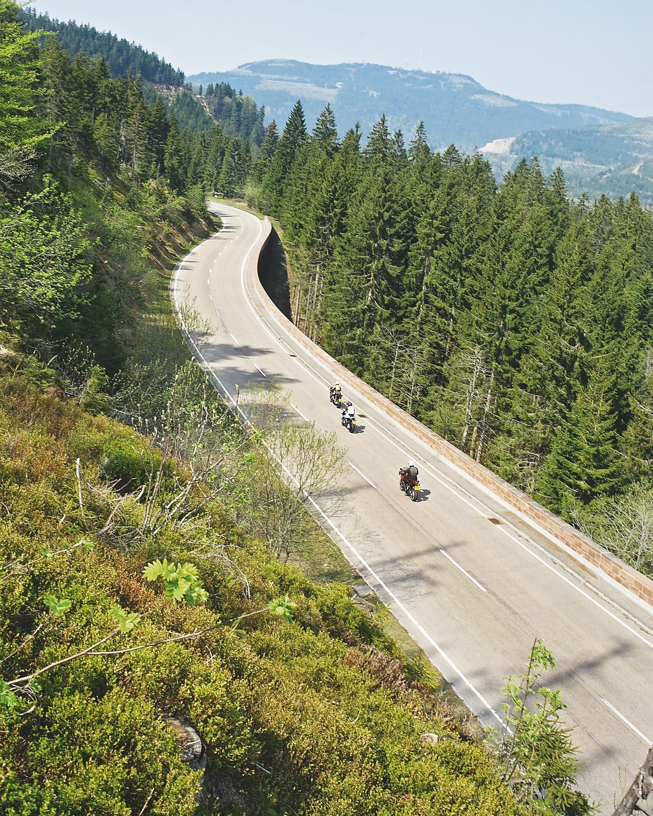 Three motorbikes racing along a tree lined mountain road