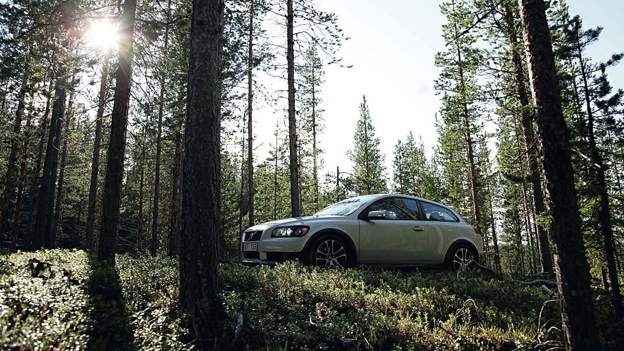 Car on the forest road