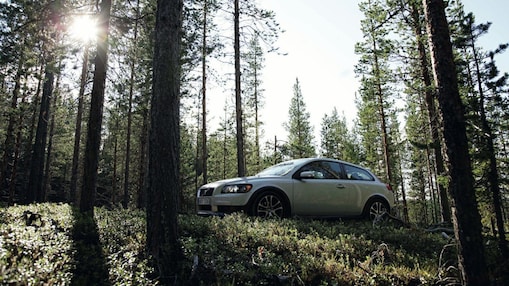 Car on the forest road
