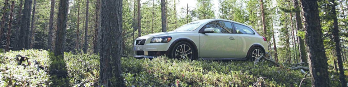 Car on the forest road