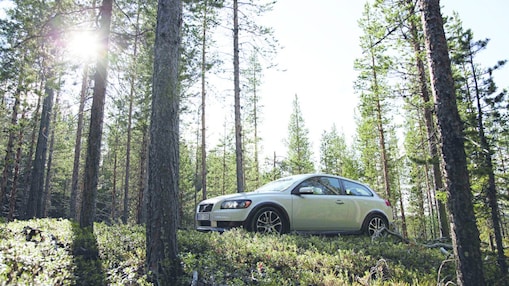 Car on the forest road