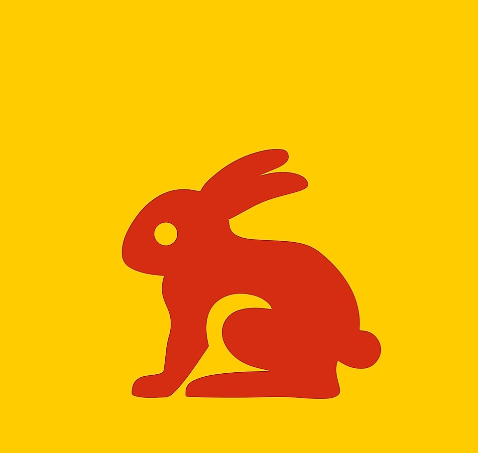 rabbit graphic