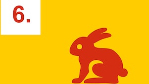 rabbit graphic