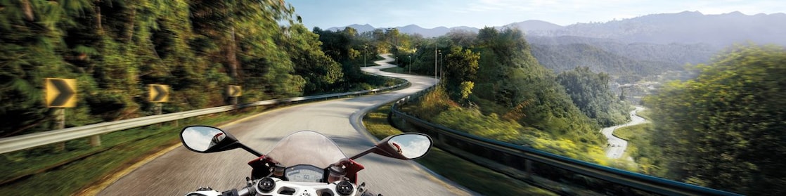 rider view of motorbike on road