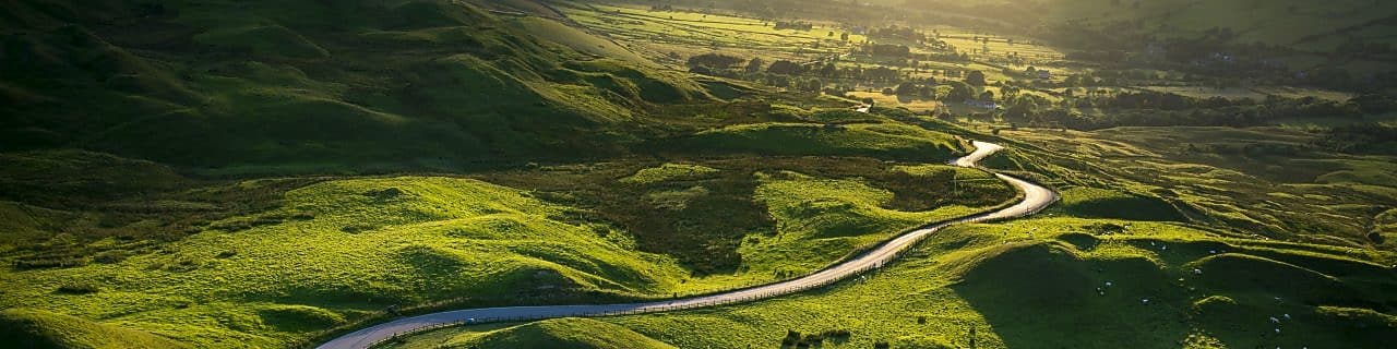 a road passing between green fields