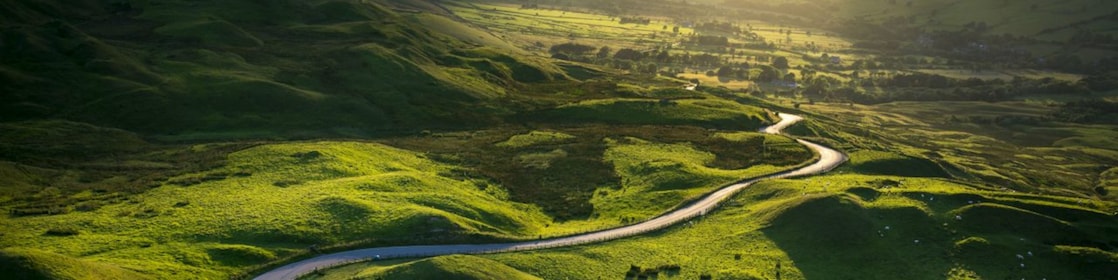 a road passing between green fields