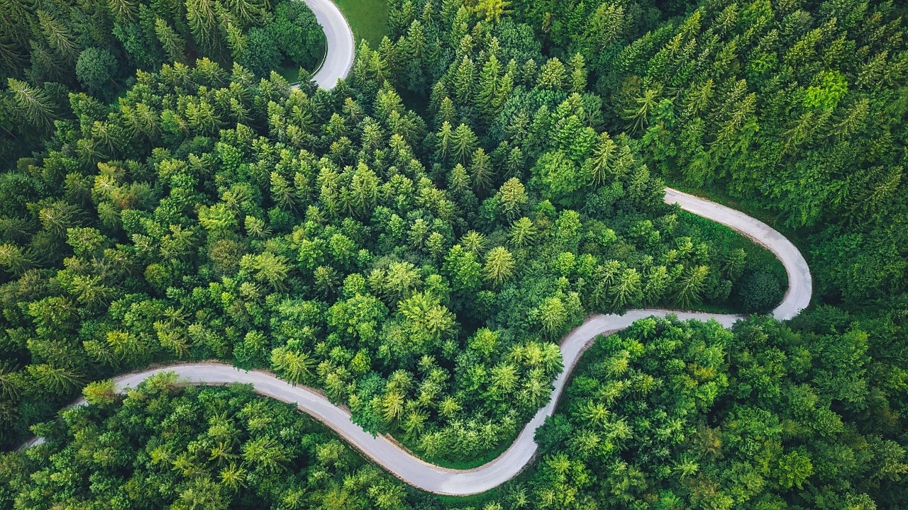 aerial view of a road in a forest